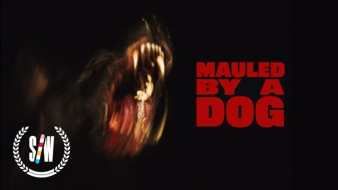 Mauled By A Dog wins Welsh BAFTA